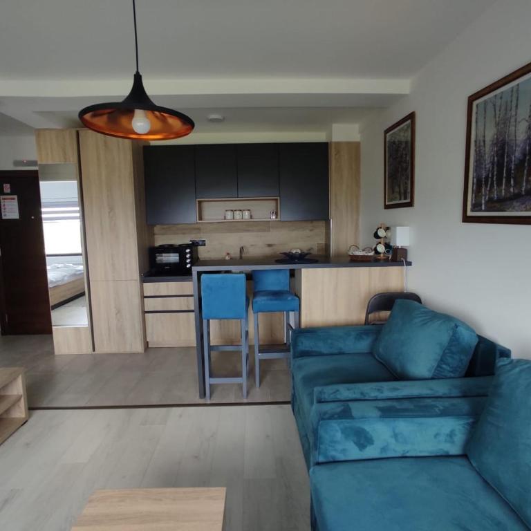 Apartman N99 Milmari Kopaonik - One-Bedroom Apartment - 7