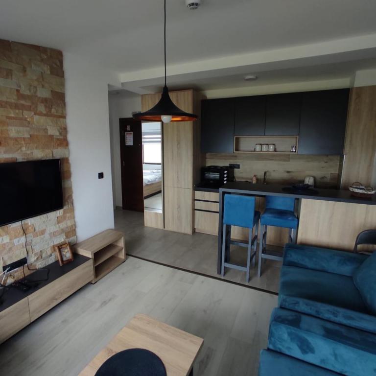 Apartman N99 Milmari Kopaonik - One-Bedroom Apartment - 1