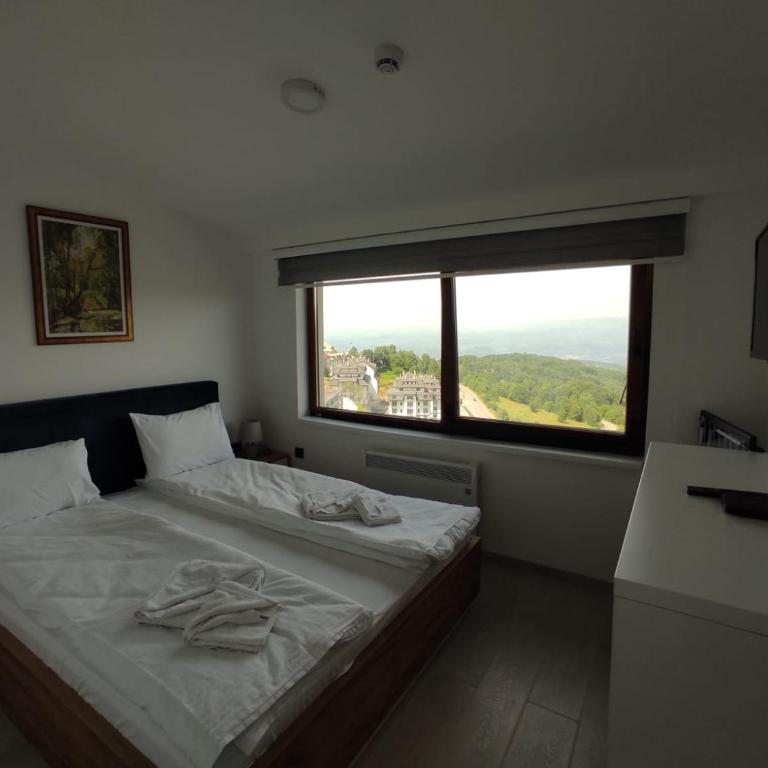 Apartman N98 Milmari Kopaonik - Apartman sa 1 Spavaćom Sobom - 11