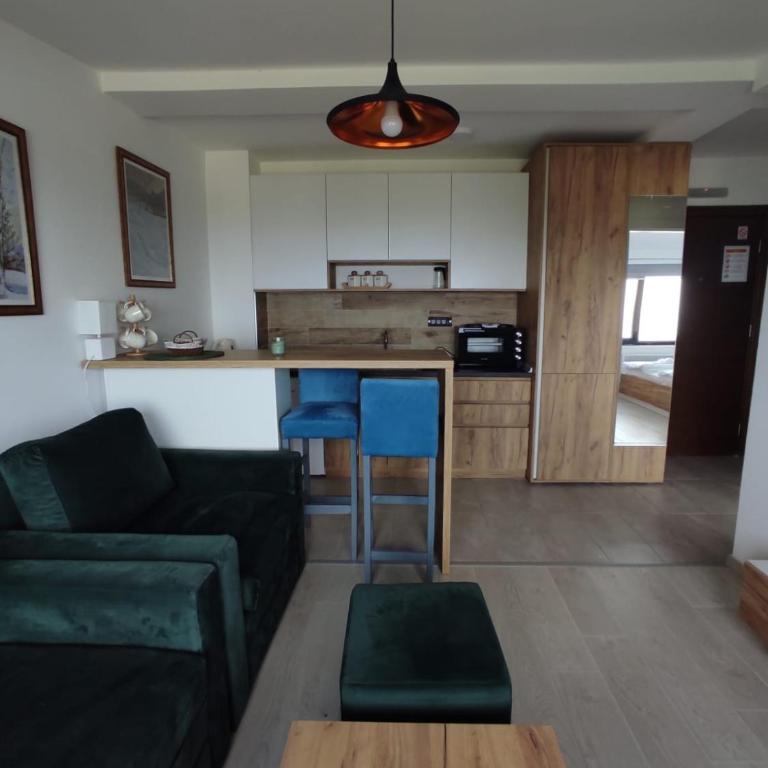 Apartman N98 Milmari Kopaonik - Apartman sa 1 Spavaćom Sobom - 3