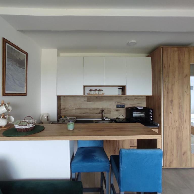 Apartman N98 Milmari Kopaonik - Apartman sa 1 Spavaćom Sobom - 10