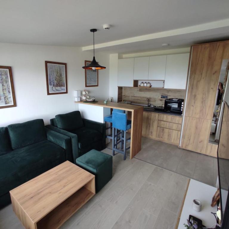 Apartman N98 Milmari Kopaonik - Apartman sa 1 Spavaćom Sobom - 2