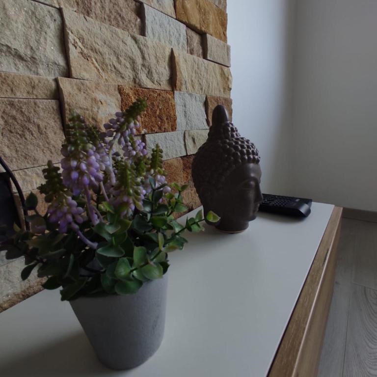 Apartman N98 Milmari Kopaonik - Apartman sa 1 Spavaćom Sobom - 15