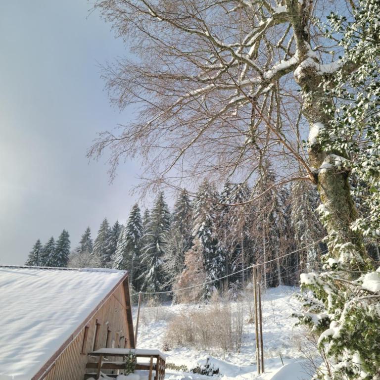 La Ferme du Badon - Appartement - 5
