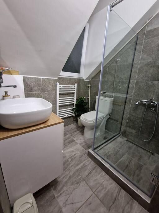 Supreme studio - Deluks Studio sa Queen Krevetom - 3