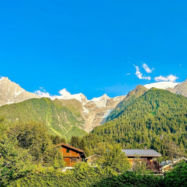 Chalet Béchar Le Magnifique- Garden - Sauna & Jacuzzi - Chalet - 40