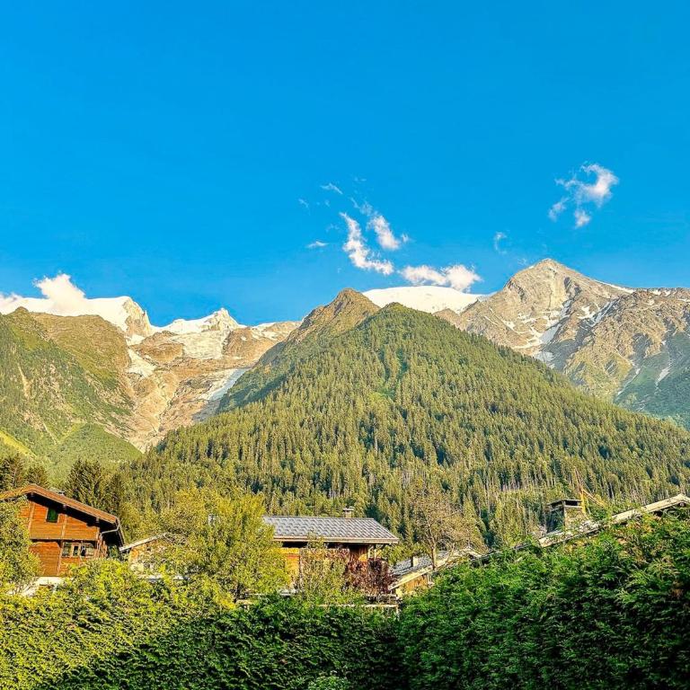 Chalet Béchar Le Magnifique- Garden - Sauna & Jacuzzi - Chalet - 42