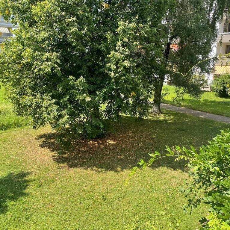 FeWo am Aeschacher Ufer - Apartment mit 1 Schlafzimmer - 33