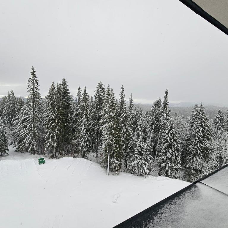 Zlatni Javor, Apartment 408 - Apartman sa Pogledom na Planinu - 36