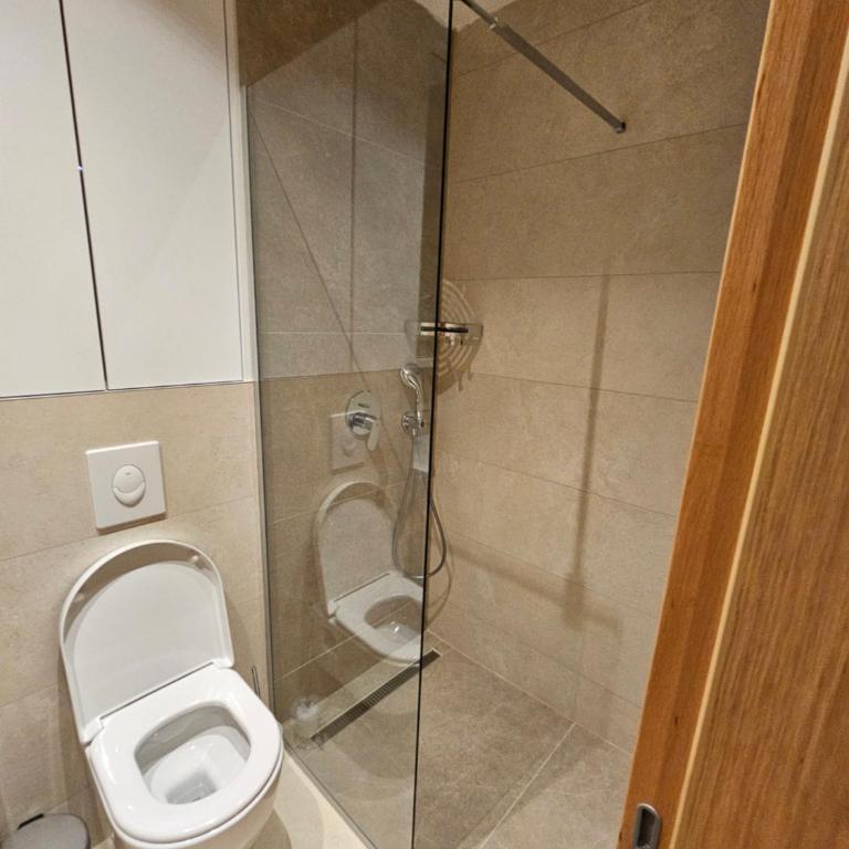 Zlatni Javor, Apartment 408 - Apartman sa Pogledom na Planinu - 19