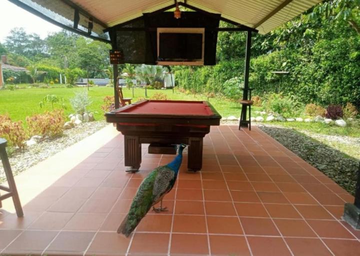CASA TURÍSTICA CAMPESTRE "VILLA ALONDRA" Parqueo Privado GRATIS! - Double Room with Park View - 11
