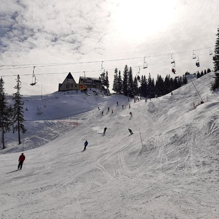 Zlatni Javor, Apartment 408 - Apartman sa Pogledom na Planinu - 33