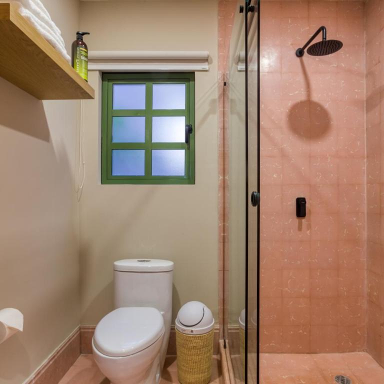 Casa Oliva - Suite Junior con terraza - 3
