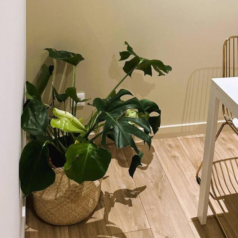 L'Esprit Beige Falaise ~ GARE ST ROCH ~ FREE Parking - Appartement 1 Chambre - 17