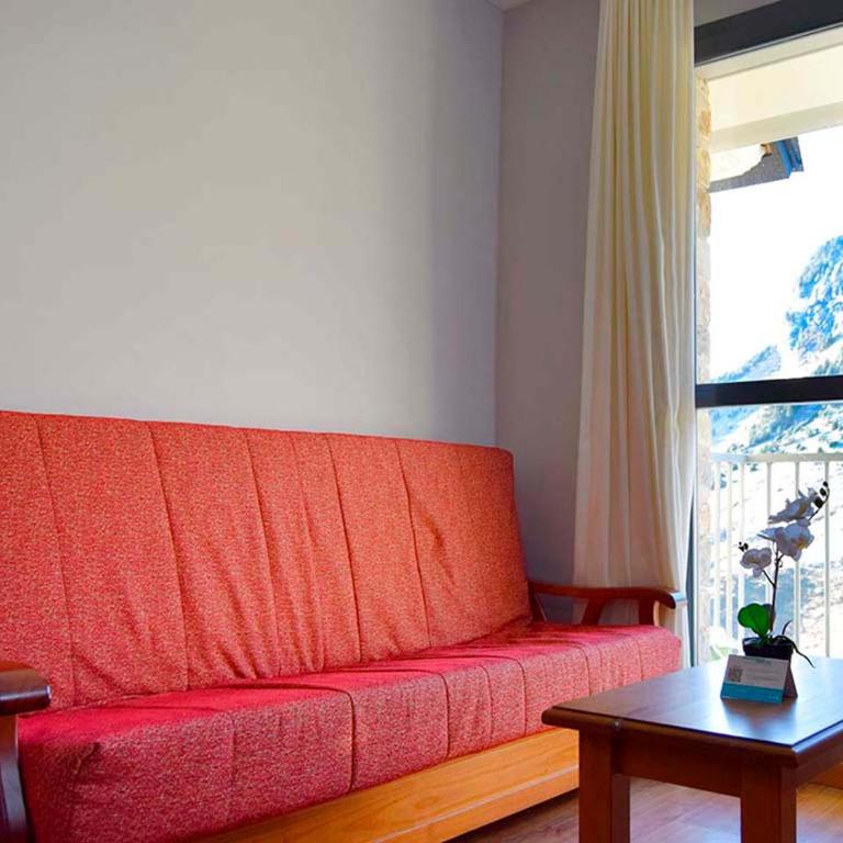 Apartamentos Candanchu 3000 - Studio - 1