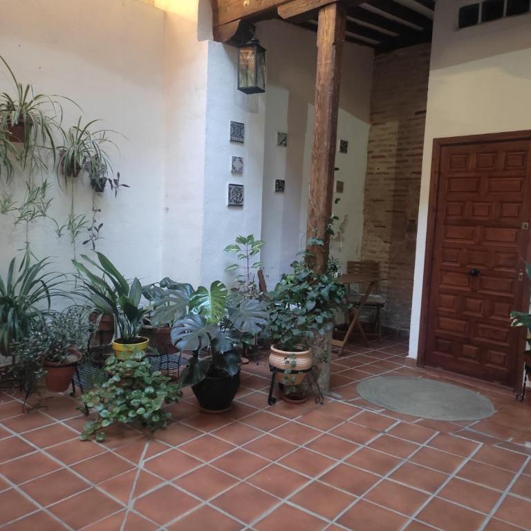 La Casa Toledana - patio y terraza con vistas - Casa de 3 dormitorios - 8