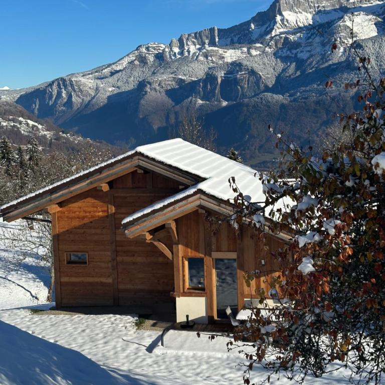 Chalet neuf La Perle du Perron - Chalet 2 Chambres - 43
