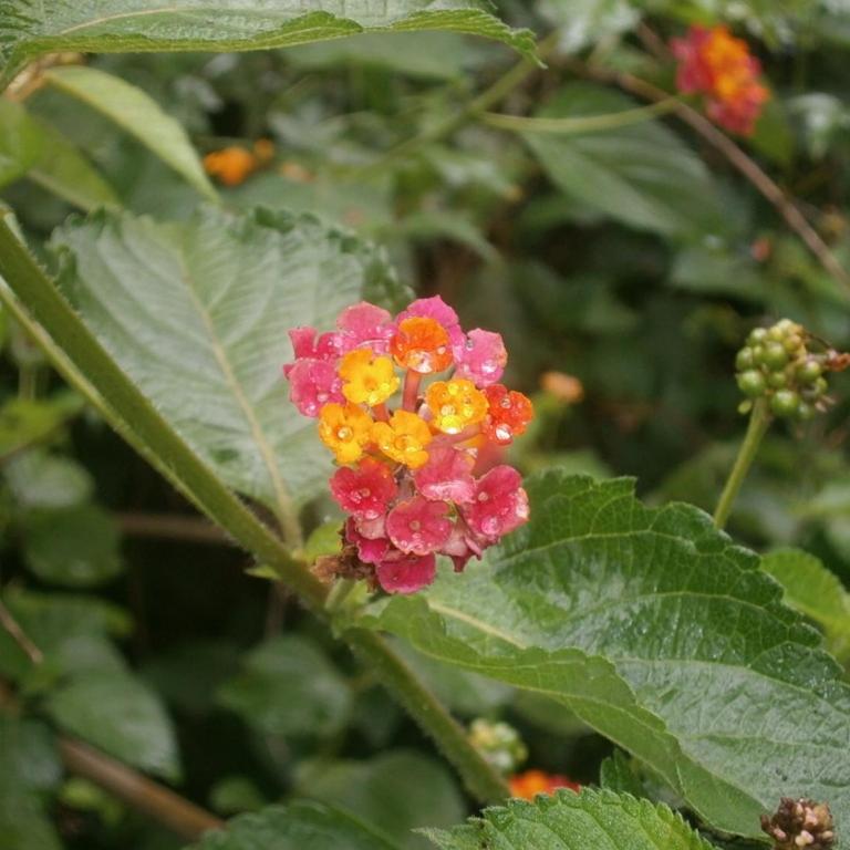 Vacaciones en Belgrano IG - Casa de 2 dormitorios - 15