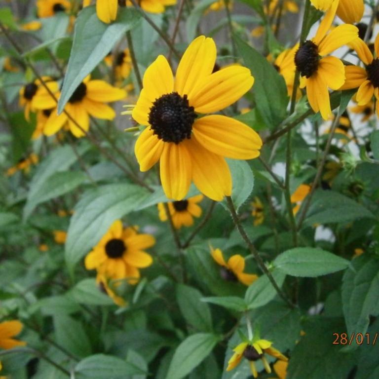 Vacaciones en Belgrano IG - Casa de 2 dormitorios - 16