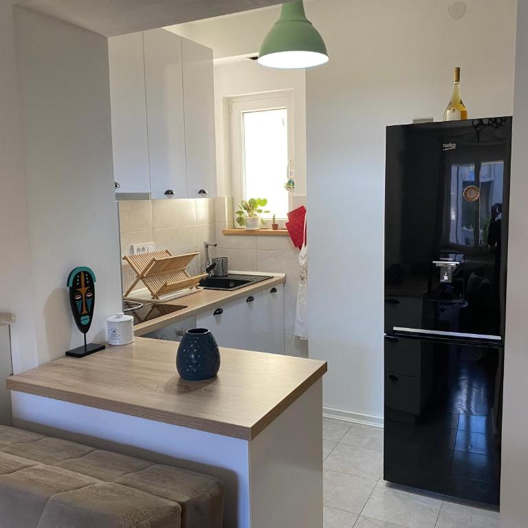 Petra Home Belgrade - Apartman sa 1 Spavaćom Sobom - 11