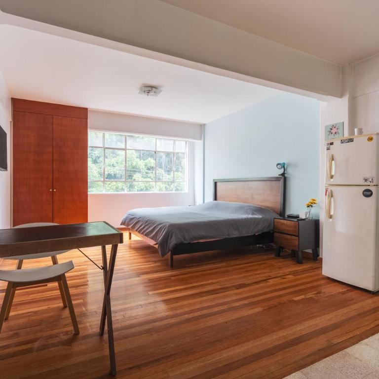 cool private loft, Polanco : ) - One-Bedroom Apartment - 1