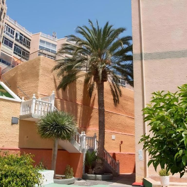 Calesapart2 Brisa Marina - Apartamento de 1 dormitorio - 20