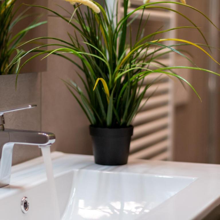 Tartini Lofts - One-Bedroom Apartment - 23