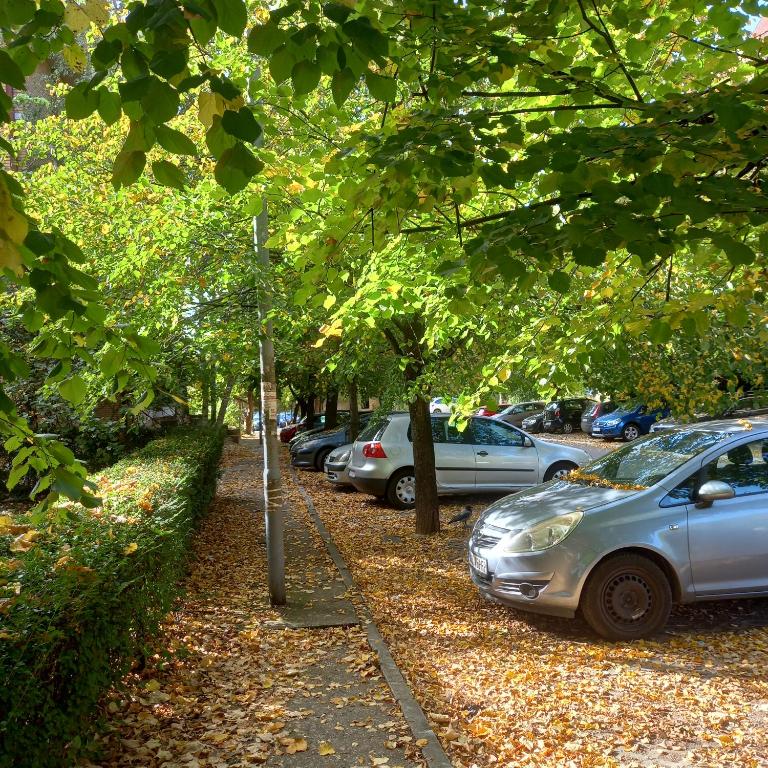 RIVIJERA GREEN - Apartman sa 1 Spavaćom Sobom - 57