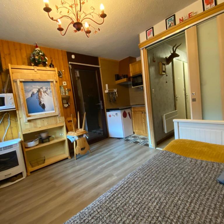Studio rénové Portes du Soleil Chatel Abondance - Appartement 1 Chambre - 4