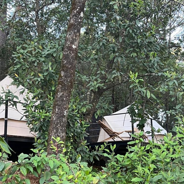 Hotel Oxú & Gampling Solo adultos - One Bed Tent - 1
