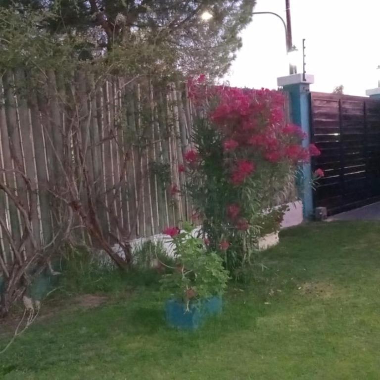 "CASA MÁGICA" ----------El precio es sin los impuestos!---- - Casa de 3 dormitorios - 49