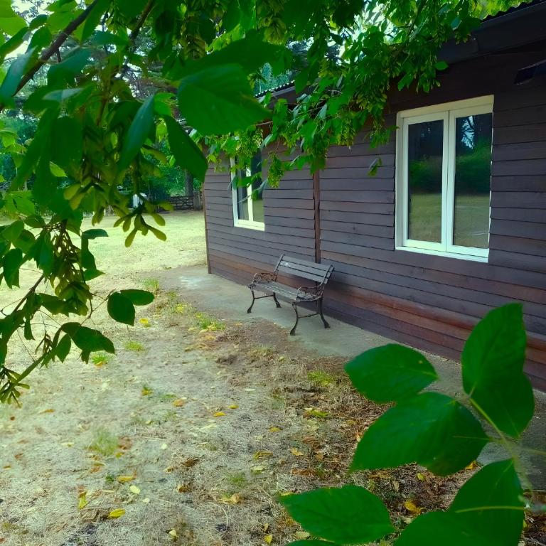 Cabaña amplia, cálida y rodeada de naturaleza - Casa de 2 dormitorios - 31