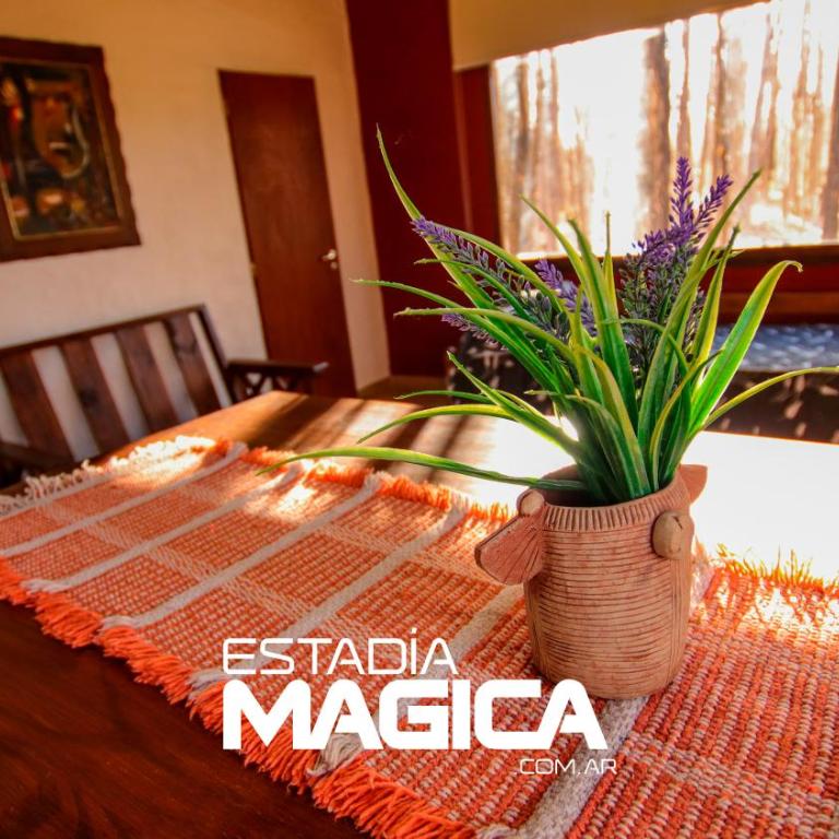 Cabañas en Malargue - Villa con vistas al jardín - 14