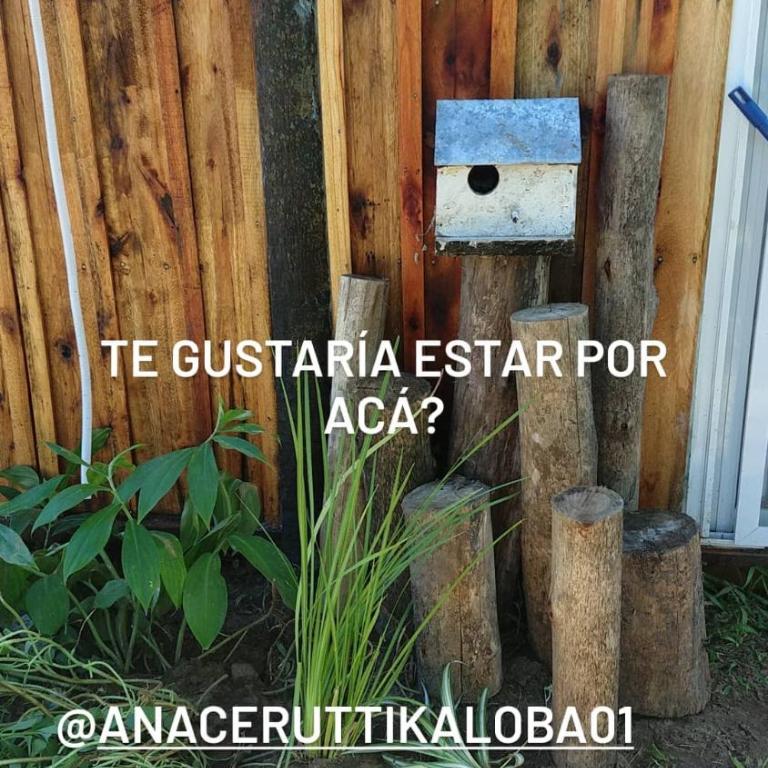 Remanso - Apartamento de 1 dormitorio - 11