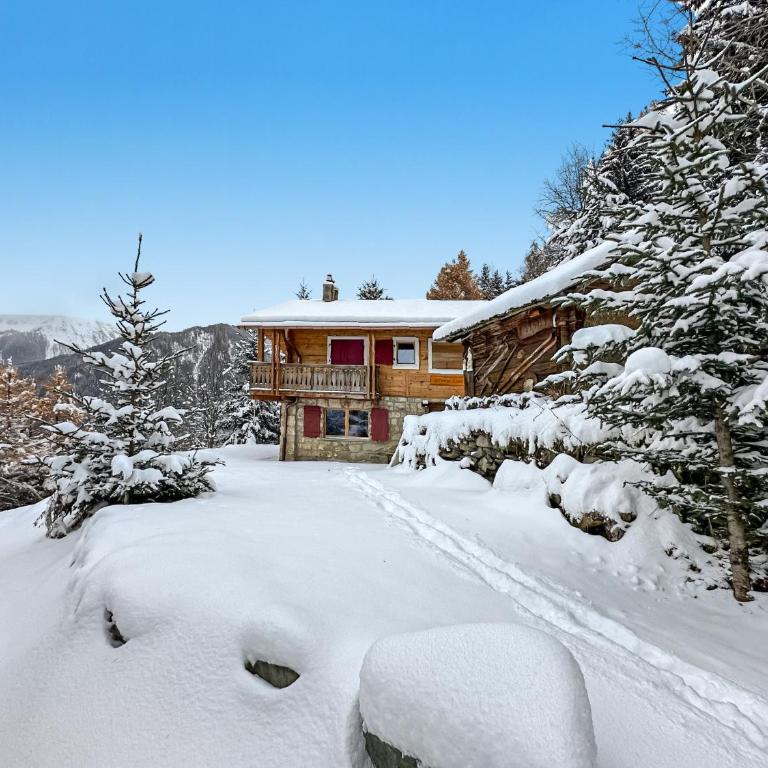 Chalet a Didi - Alps Paradise - 4 Vallees - Chalet - 6