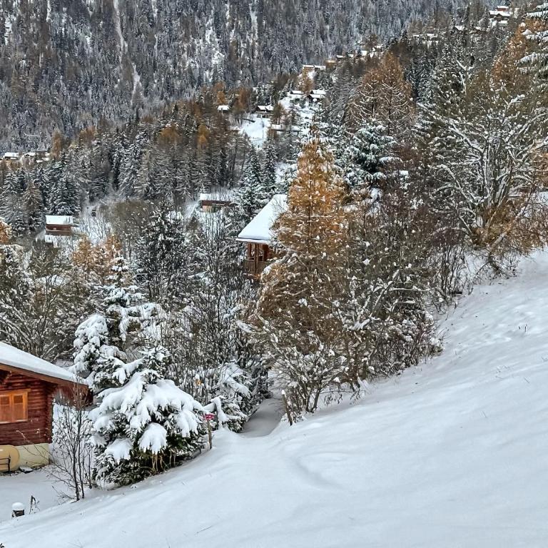 Chalet a Didi - Alps Paradise - 4 Vallees - Chalet - 16
