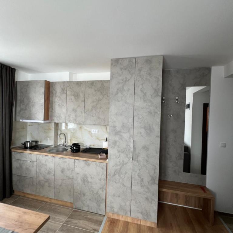 Apartments SKY Kopaonik - One-Bedroom Apartment with Balcony and Mountain View - 13