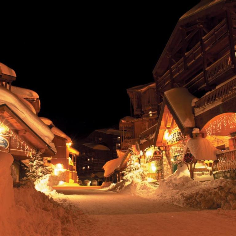 SnowPick HAUTS DE LA VANOISE - Appartamento Monolocale - 13