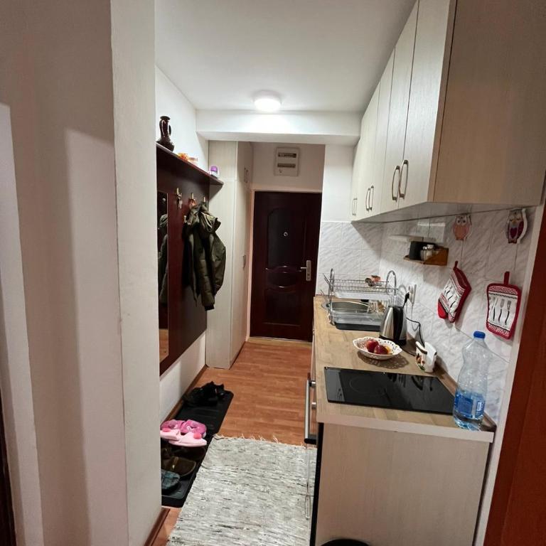 Apartman Cogan - 100m from Gondola - Brzece - Apartman sa 1 Spavaćom Sobom - 7