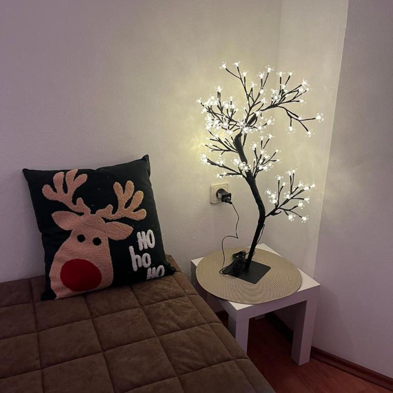 Apartman Cogan - 100m from Gondola - Brzece - Apartman sa 1 Spavaćom Sobom - 3
