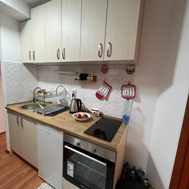 Apartman Cogan - 100m from Gondola - Brzece - Apartman sa 1 Spavaćom Sobom - 8
