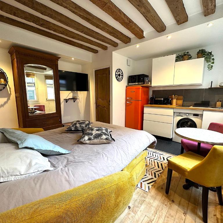 Mytripinparis - Fully renovated studio historical Paris - Estudio Superior - 5
