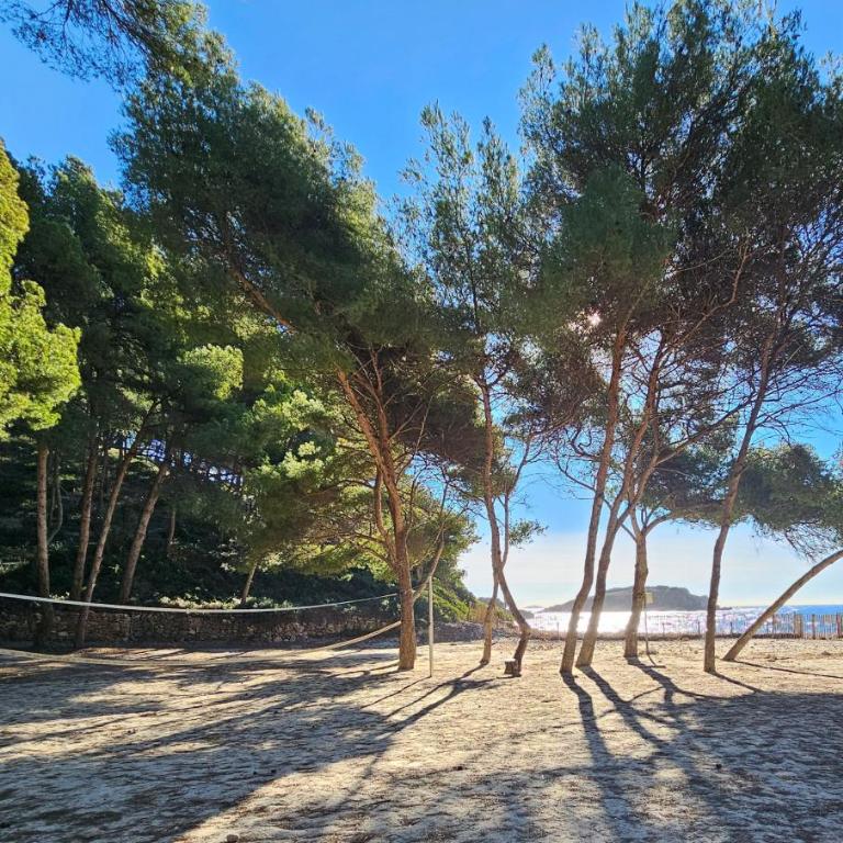 SUPERBE APPARTEMENT DANS CADRE D'EXCEPTION - Piscine, Plage et Tennis privé - Appartement 2 Chambres - 14