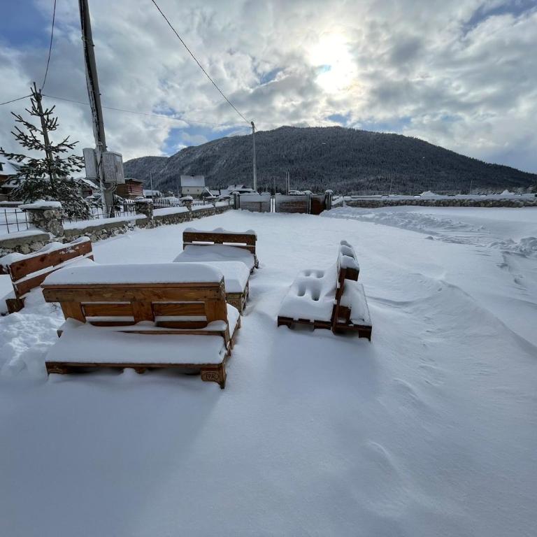 Apartman Djina Zabljak - Two-Bedroom House - 33