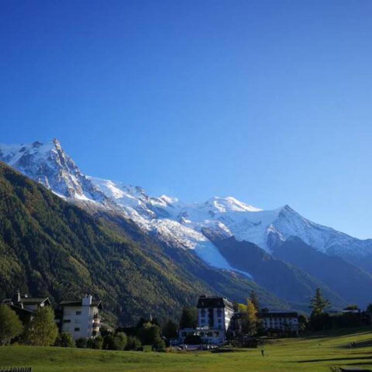 Le Savoy - Terrasse avec vue sur le Mont-Blanc - Apartamento de 1 dormitorio - 10