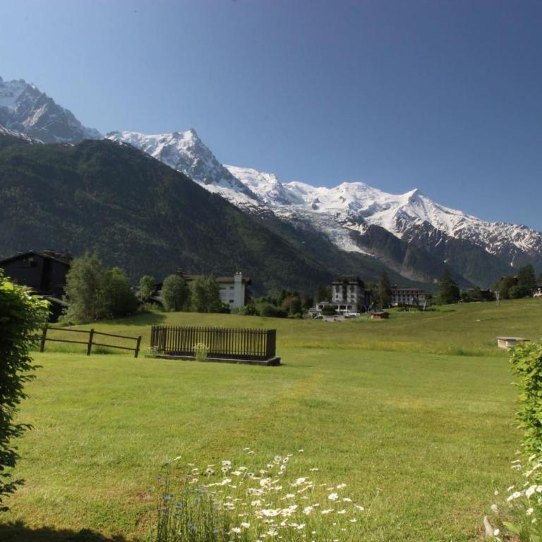 Le Savoy - Terrasse avec vue sur le Mont-Blanc - Apartamento de 1 dormitorio - 1