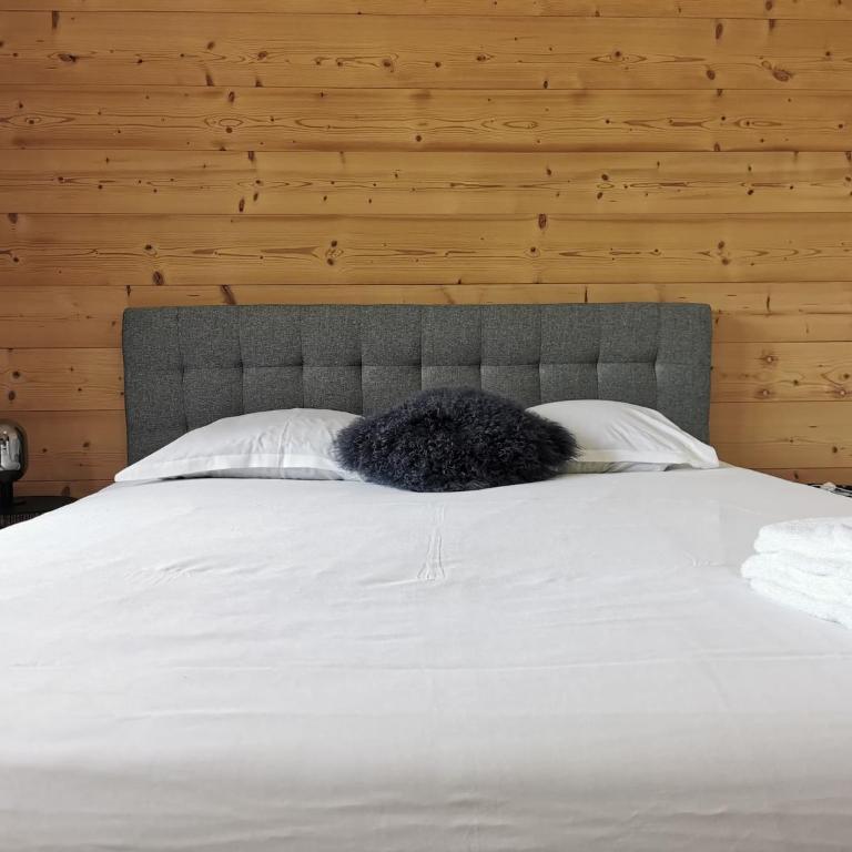 Terra Losa - Tout Nouveau - Centre des Houches - Point de Départ et D'arrivée TMB - Appartement 1 Chambre - 19