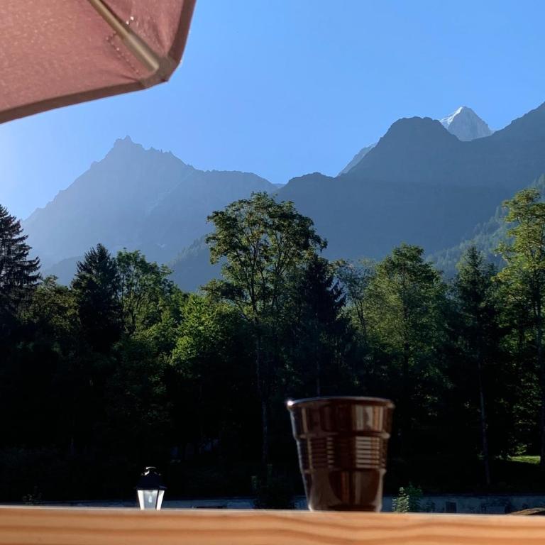 Terra Losa - Tout Nouveau - Centre des Houches - Point de Départ et D'arrivée TMB - Appartement 1 Chambre - 24