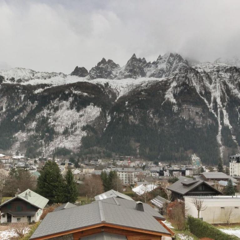 Makalu - View Mont-Blanc - Chamonix Center -8 pers - Apartamento - 14