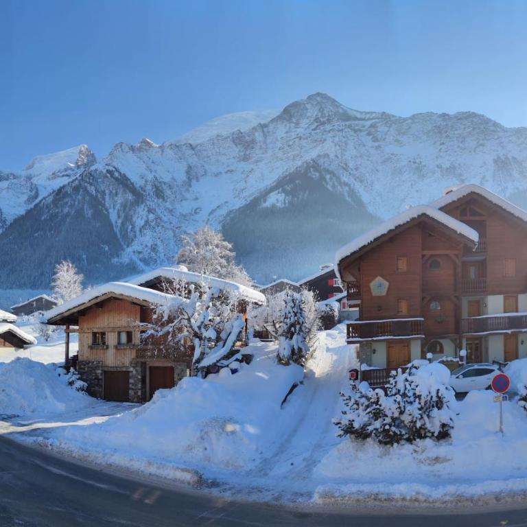 Les Alpages - Newly Renovated - 2bed - Equipment Storage - Mont-Blanc Views - Appartement 2 Chambres - 30